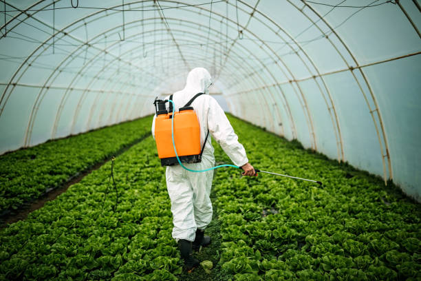 Best Pest Prevention Services  in Castlewood, VA