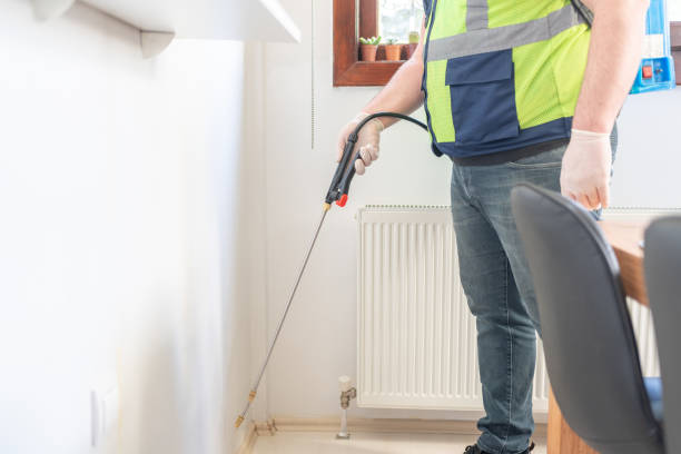 Best Pest Inspection Near Me  in Castlewood, VA