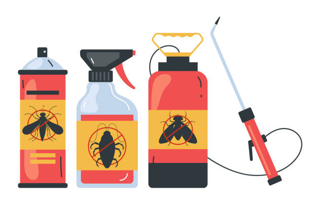 Trusted Castlewood, VA Pest Control Experts